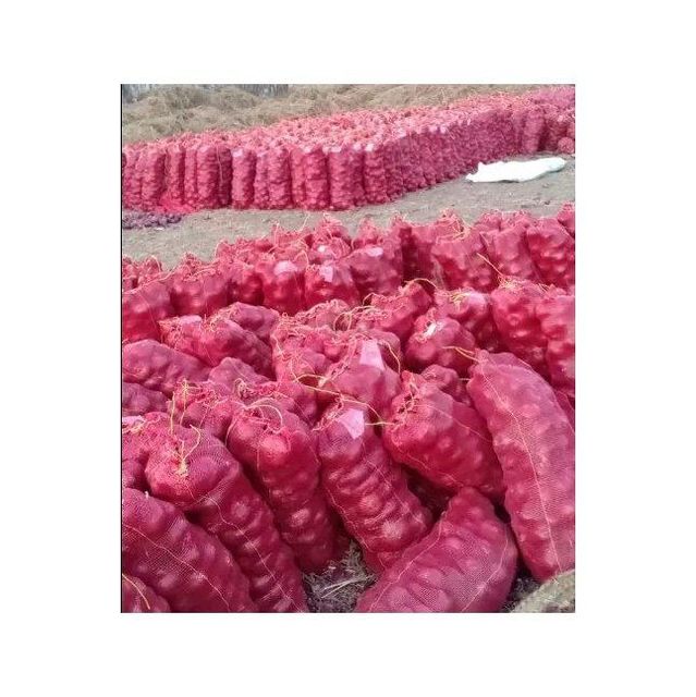 Fresh Red Onion - Seasonal Harvest