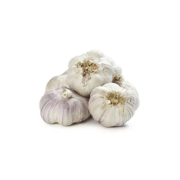 Fresh White Garlic - Top Grade