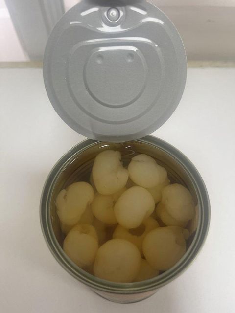 20oz Canned Longan Broken 2025
