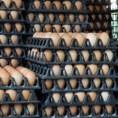 Stacked crates of fresh brown chicken eggs