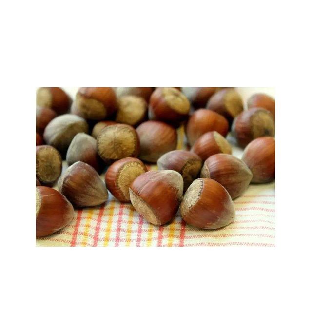 Raw Hazelnuts Close-up