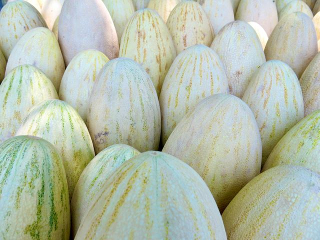 Yellow Melon
