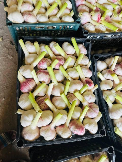 Garlic Flake