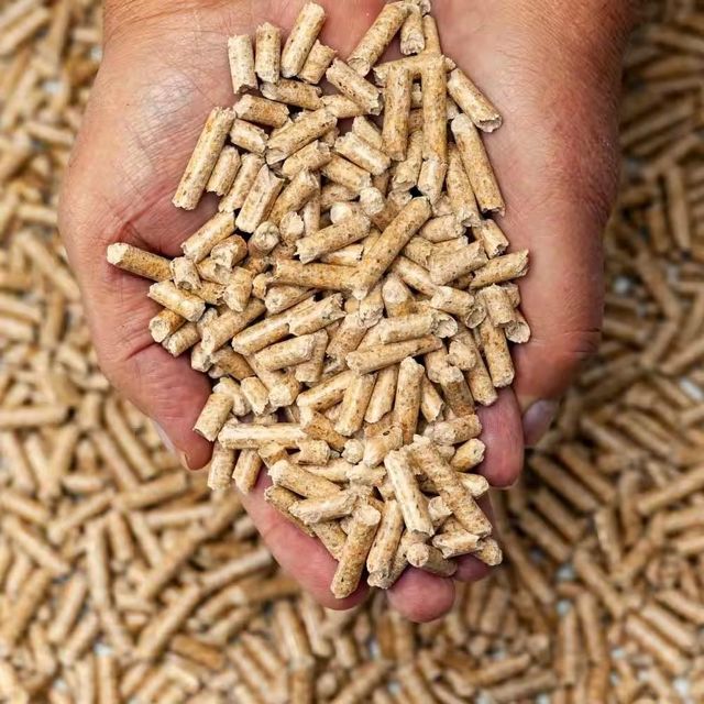 Pine Wood Pellets Close-up