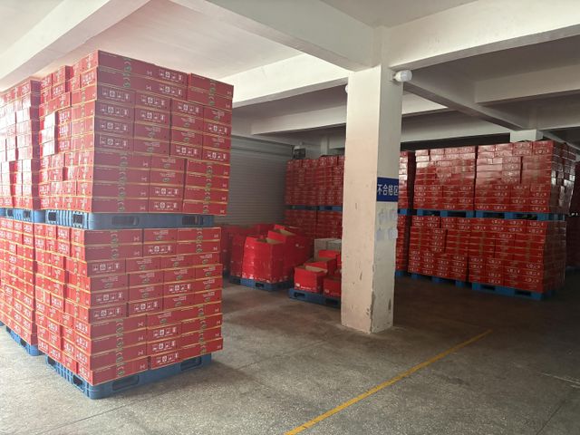 Canned Tomato Paste 2