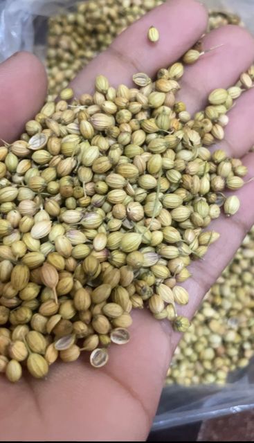 Coriander Seeds