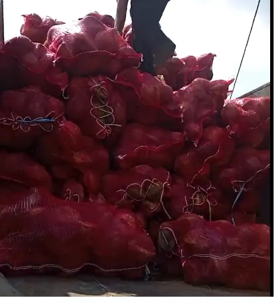 Premium Coconut Product View