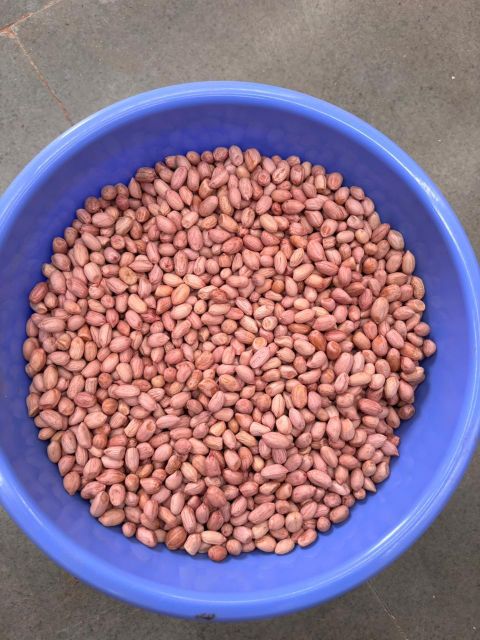Peanut TJ 80/90 50/60