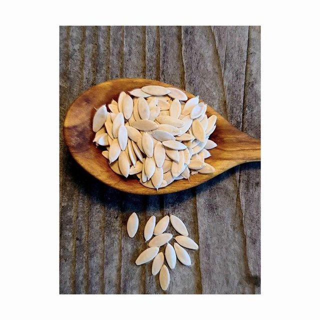 Cucumber Seeds Image 1