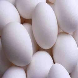 Fresh White Chicken Eggs Image 4