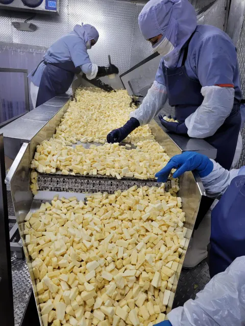 Frozen Pineapple Chunks In Bowl