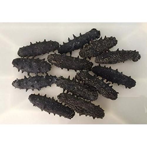 Dried Sea Cucumber 1