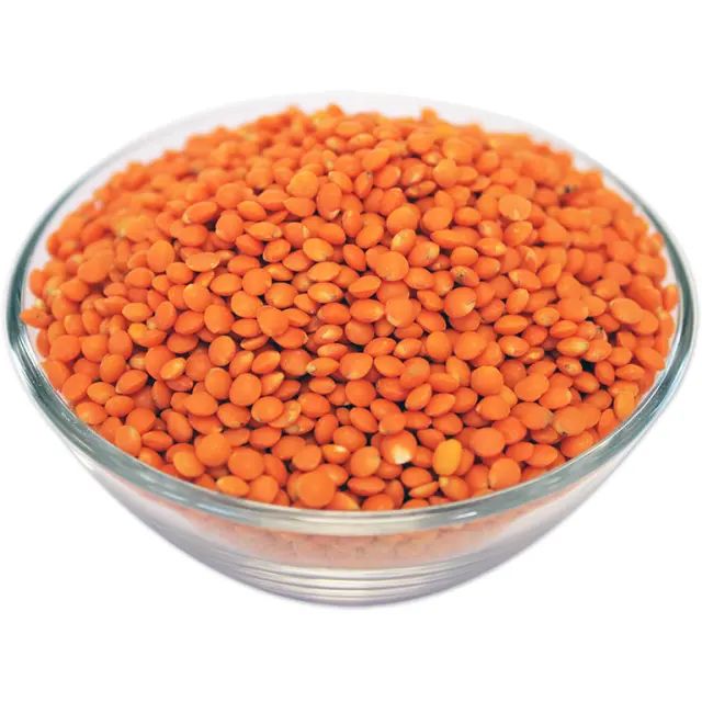 Organic Red Lentils in Packaging