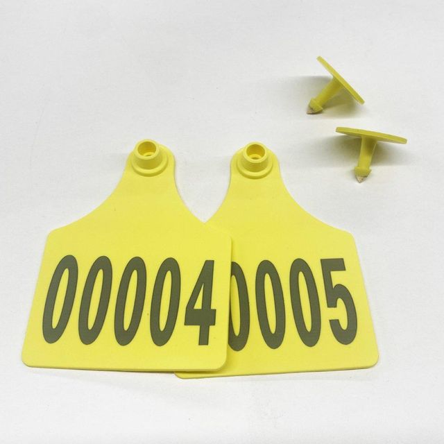Visual Ear Tag for Cattle