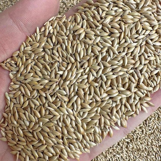 Canary Seed Mixes and Private Label Packaging