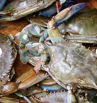 Fresh and Frozen Crab Display
