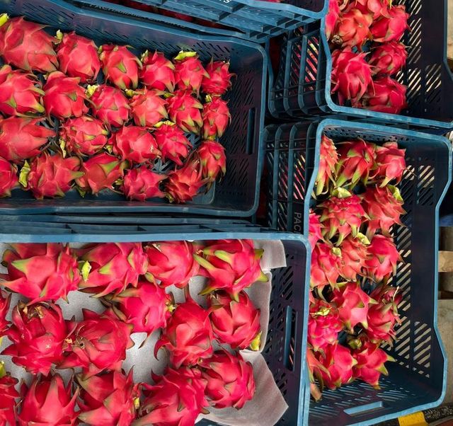 Dragonfruit with Coconut