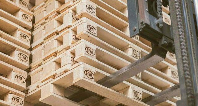 Euro Pallet 1200x800 mm Load Capacity
