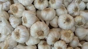Fresh Indian Garlic