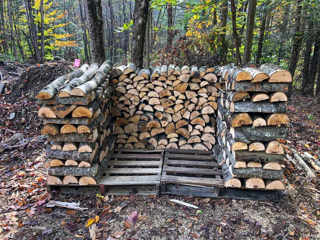 Hardwood Firewood Logs 3