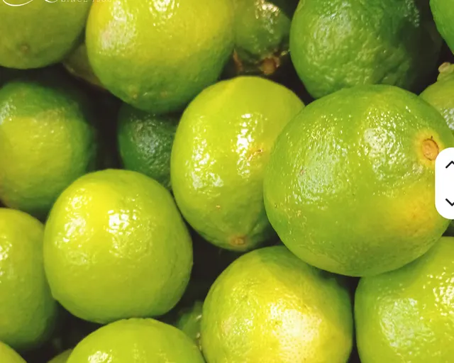 Rich Aroma Bulk Farm Supply Premium Citrus Green Lemons Image 2