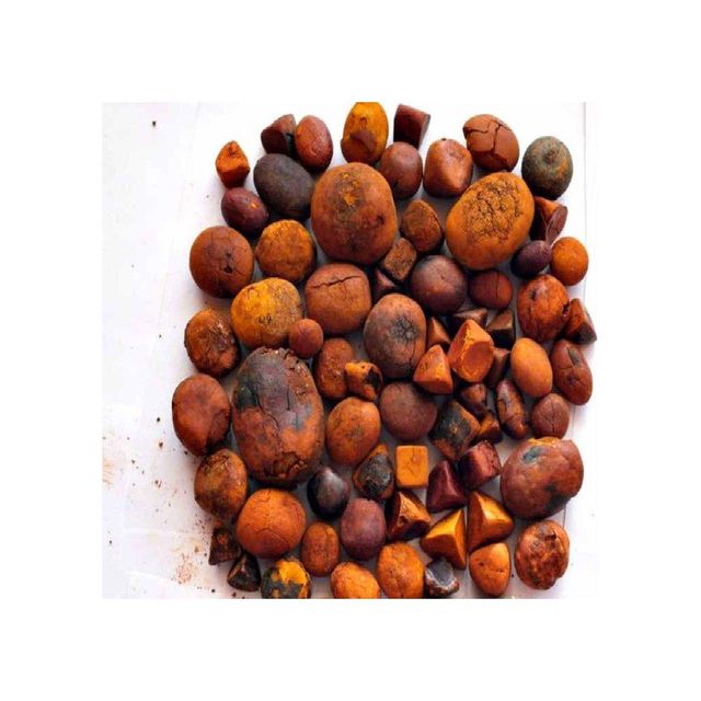 Cow Gallstone - Traditional Processing