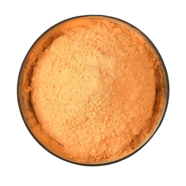 Carrot Powder for Food Processing