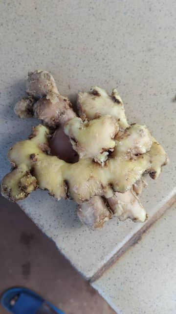 Ginger Product Image