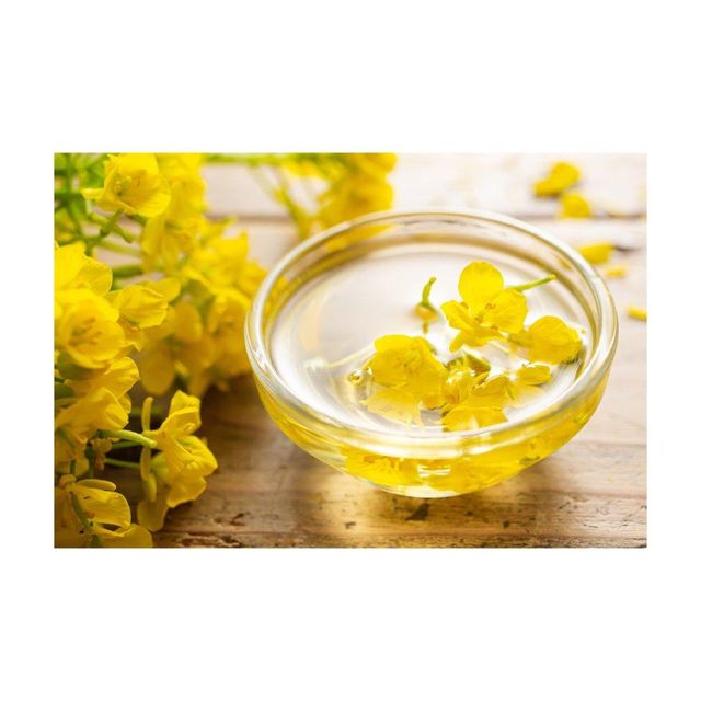 Refined Canola Oil in Storage Container