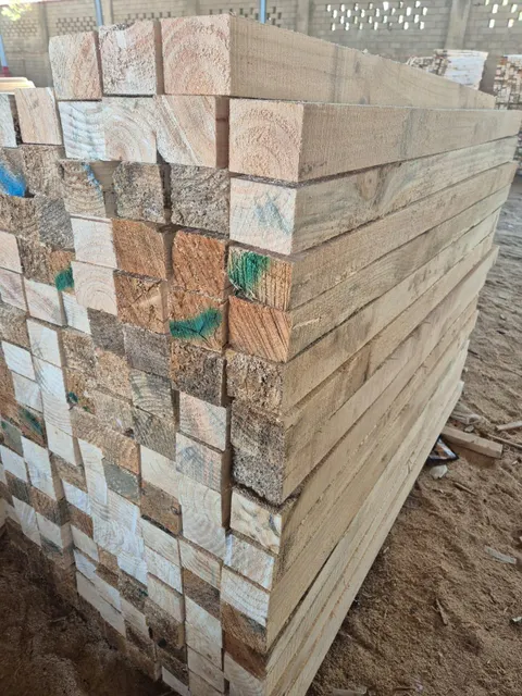 Cut Pinewood Samples