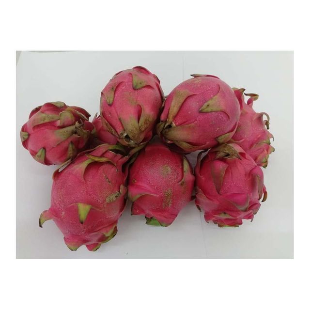 Fresh dragon fruit