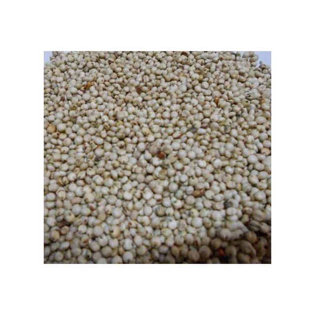 Clean sorghum grains in bulk packaging
