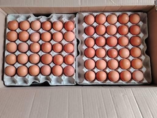 Stacked cartons of fresh brown eggs