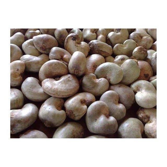 Whole Cashew Nuts - High Grade