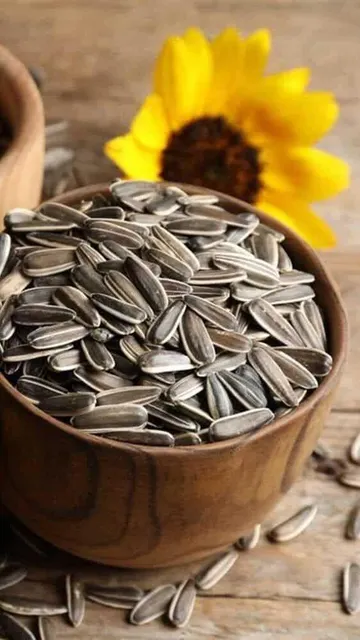 Sunflower seed in a serving tray