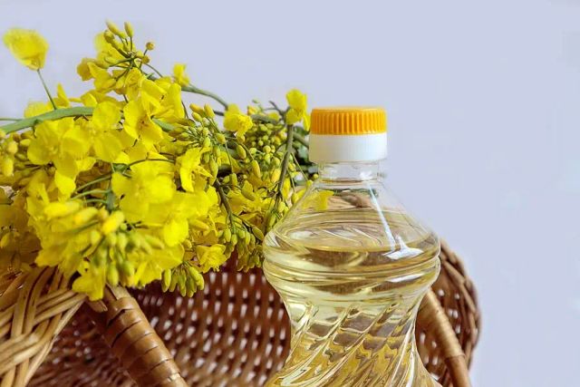 Rapeseed oil bottle
