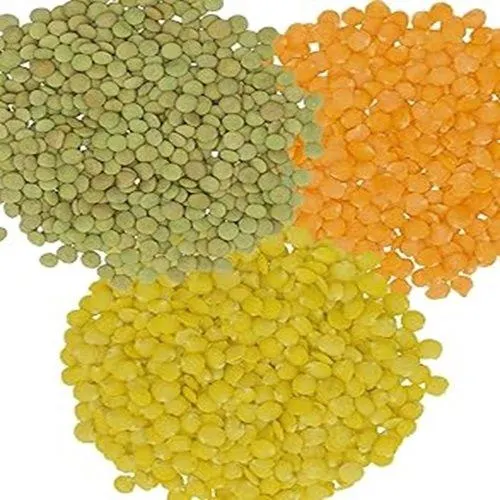 Green Lentils Image 3