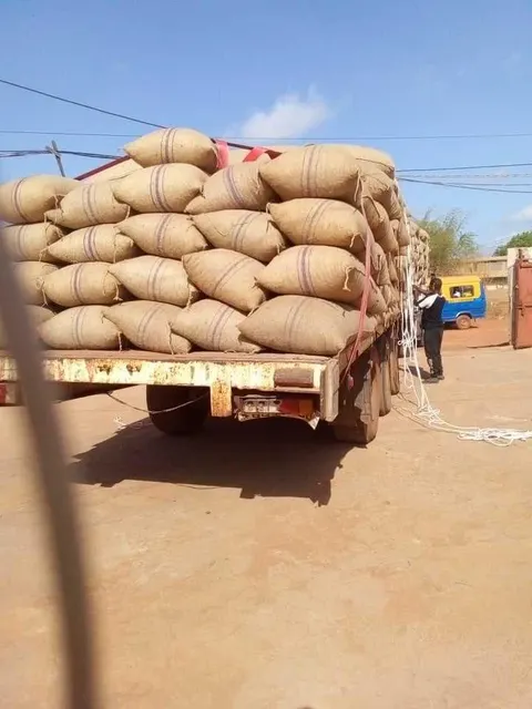 Cashew Nuts Product