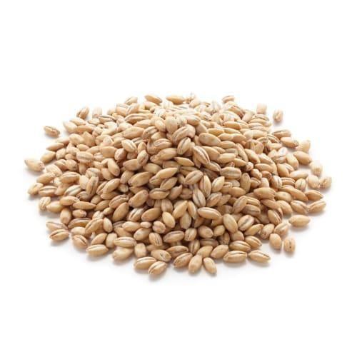 Premium Malted Barley 1
