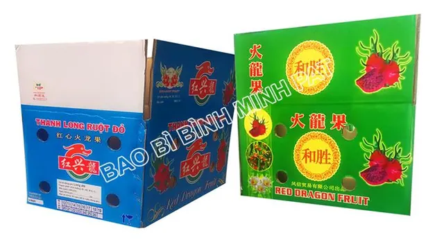 Custom printed corrugated carton box for fresh dragon fruit