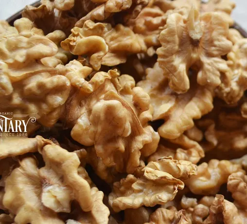 All Natural Walnut Kernel Dried Snack - Image 1