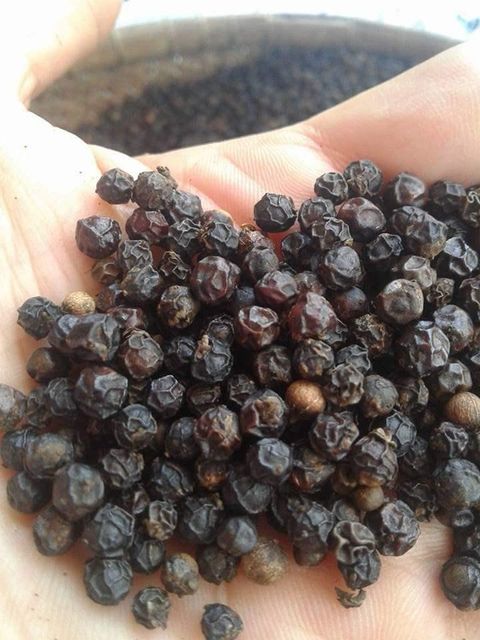 Black Pepper Whole Grains