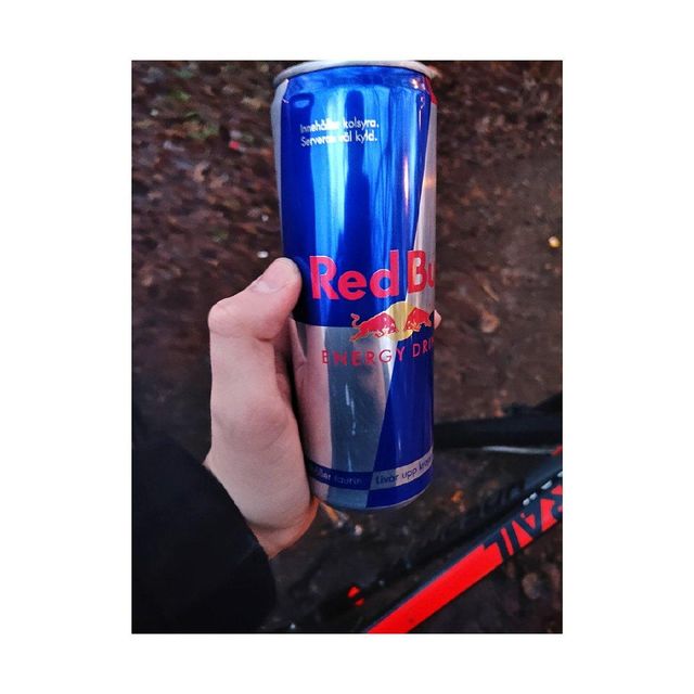 Red Bull 250 ml Energy Drink