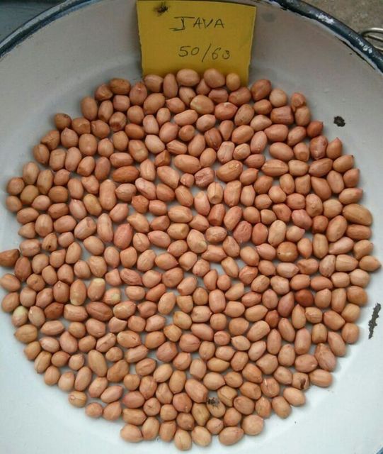 Peanut Product 1