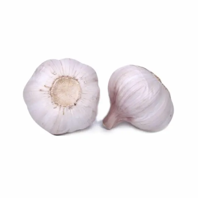 Snow White Garlic - New Crop