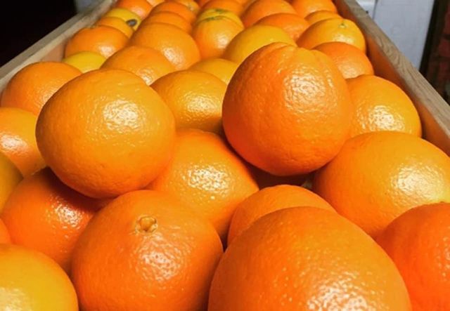 Fresh Orange 2
