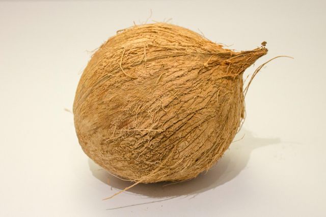 Coconut