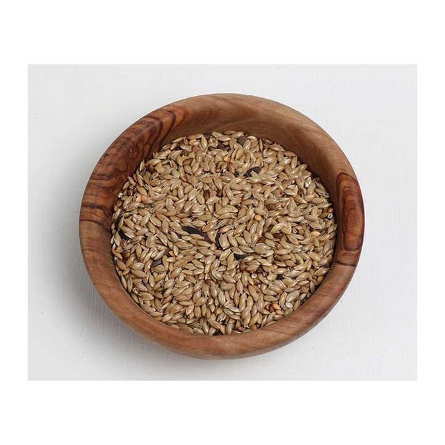 Premium canary seed for bird food