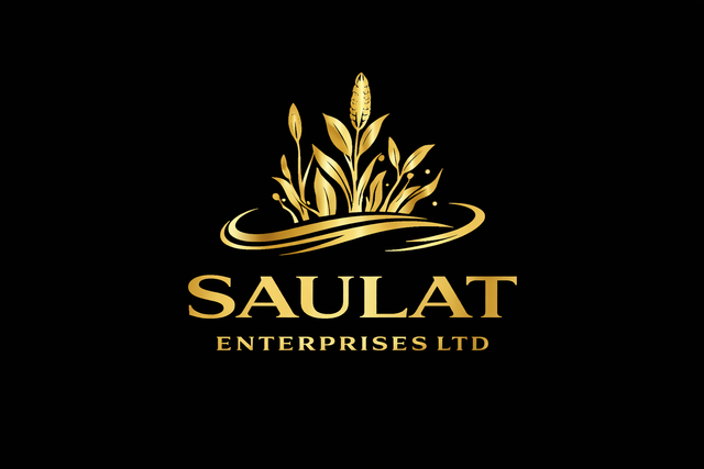 Canola Seeds for Oil Extraction