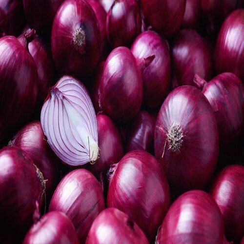 Fresh Red Onion 1